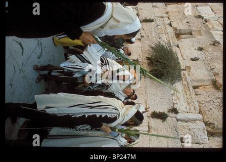 425. Pregando presso il Muro occidentale con le quattro specie durante la festa di Sukkot (Tabernacolo). Foto Stock