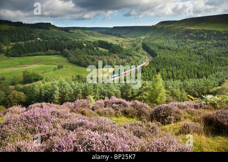 Newtondale da Levisham Moor, North York Moors National Park Foto Stock