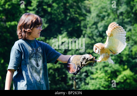 La Falconeria Display con Barbagianni Foto Stock