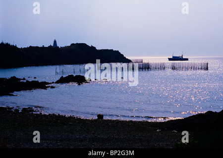 Aringa weir e barca a coda di rondine con il faro in background. Whale Cove, Grand Manan Island, New Brunswick, Canada. Foto Stock