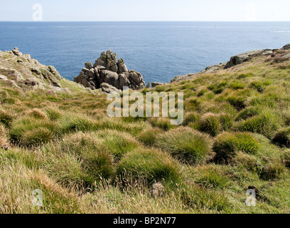 Un promontorio roccioso sulla testa Gwennap in Cornovaglia. Foto di Gordon Scammell Foto Stock