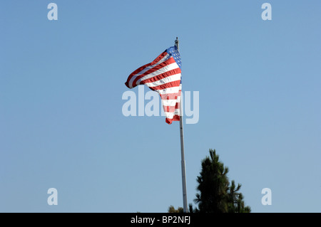 Bandiera americana sventolare orgogliosamente in una brezza leggera contro un cielo blu. Foto Stock