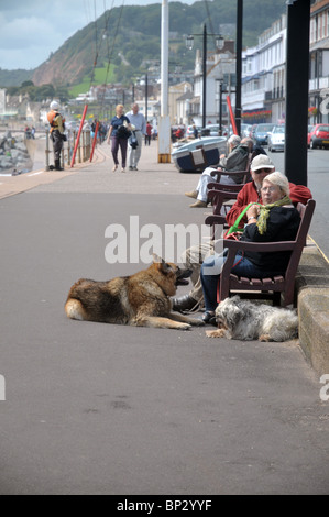 Due persone anziane sat sul fronte spiaggia a sidmouth devon con i loro due cani Foto Stock