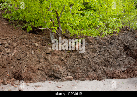 Nuova frana, ancora accadendo in heavy rain in valle Gudani, Grande Caucaso, Georgia. Foto Stock