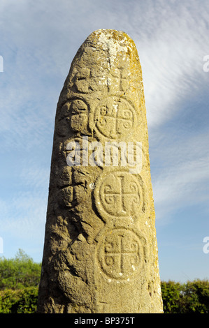 Pilastro Kilnasaggart Stone nei primi Celtic cristiano sito monastico vicino a Jonesboro, nella contea di Armagh, Irlanda del Nord, Regno Unito Foto Stock