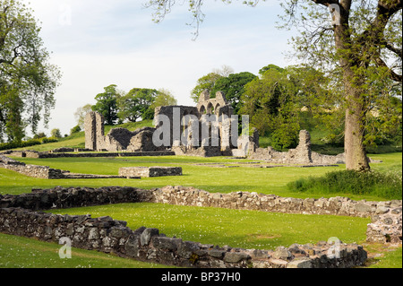 Inch Abbey vicino a Downpatrick, County Down, Irlanda del Nord. Norman abbazia cistercense fondata 1180 da John de Courcy Foto Stock