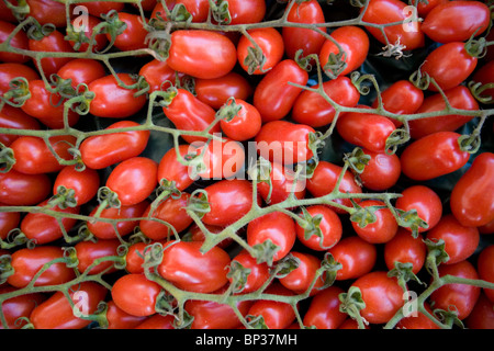 Pomodori rossi venduti nel mercato di stalla Roma Italia Foto Stock