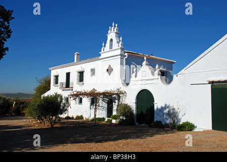 Finca, vicino a Fuente del Piedra, provincia di Malaga, Andalusia, Spagna, Europa occidentale. Foto Stock