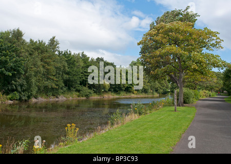 Scena da Victoria Park, nella parte orientale di Belfast, un ASSI (Area di particolare interesse scientifico). Foto Stock