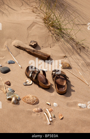 Sandali sulla spiaggia sabbiosa con gusci e noccioli, Norfolk, Inghilterra Foto Stock