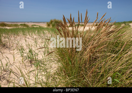 Costa di Sefton Foto Stock