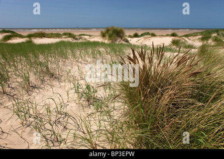 Costa di Sefton Foto Stock