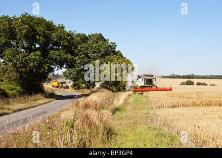 Tempo del raccolto in una calda giornata estiva Foto Stock