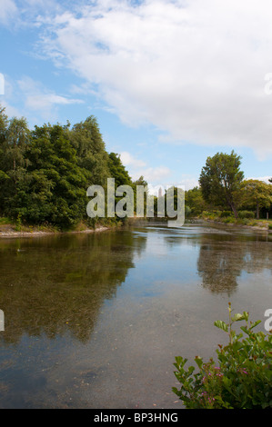 Scena da Victoria Park, nella parte orientale di Belfast, un ASSI (Area di particolare interesse scientifico). Foto Stock