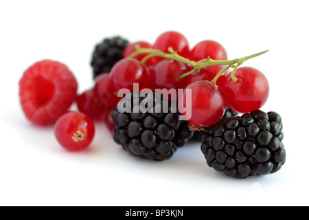 Frutti di bosco Foto Stock