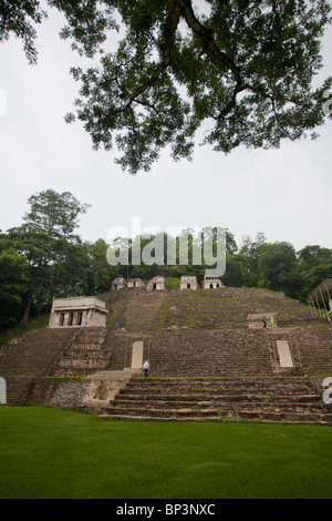 Bonampak sito archeologico, Chiapas, Messico. Nella parte superiore della scala sono i templi con i diversi affreschi murali. Foto Stock