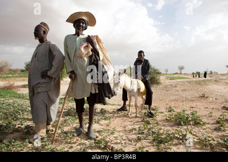 DAN KATSANI Village, vicino KONNI, NIGER, 26 luglio 2010: Gado Maggio, 60, capo degli agricoltori nel villaggio. "Non abbiamo nulla' Foto Stock
