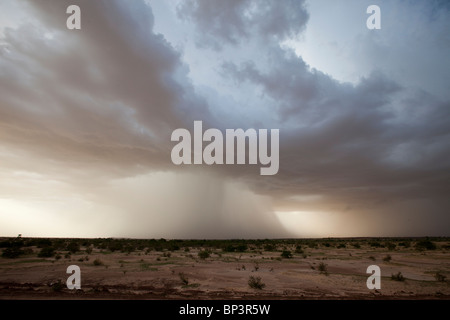 DAN KATSANI Village, vicino KONNI, NIGER, 26 luglio 2010: si avvicina la tempesta di pioggia. Foto di Mike Goldwater / Christian Aid Foto Stock