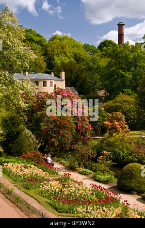 Samuel Greg giardino in primavera, Quarry Bank Mill, Styal, Cheshire, Inghilterra, Regno Unito Foto Stock