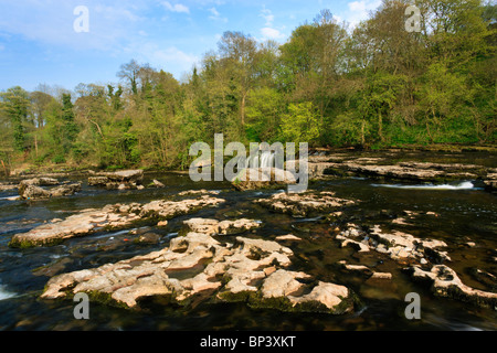 Il Fiume Ure a Aysgarth Falls. A Aysgarth nel Yorkshire Dales National Park Foto Stock