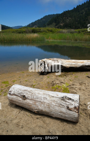 La piccola insenatura all'ingresso del Grande Bacino Redwoods State Park, California, Stati Uniti d'America Foto Stock