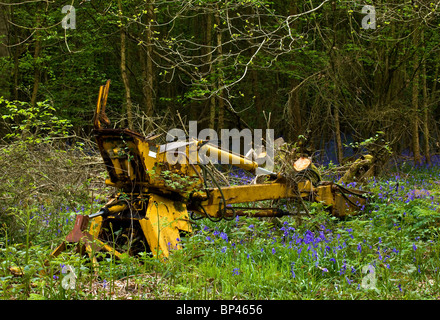 Arrugginimento delle macchine in legno bluebell Foto Stock
