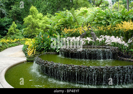 Singapore (sanscrito per Lion City). National Orchid Garden situato all'interno del Giardino Botanico. Foto Stock