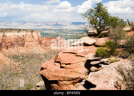 Vista del canyon Monumento da Rim Drive Rock in Colorado National Monument. Foto Stock