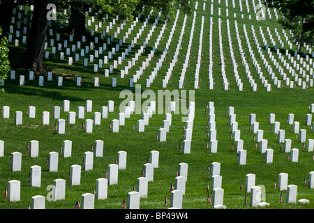 Bandierine americane linea ogni lapide a ricordo dei soldati caduti in battaglia del Memorial Day in Al Cimitero Nazionale di Arlington. Foto Stock