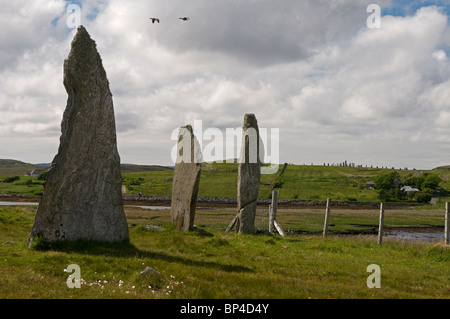 Cnoc Ceann un' Ghàrraidh n. 2 cerchio di pietra nei pressi di Calanais, isola di Lewis Ebridi Esterne, Scozia. SCO 6274 Foto Stock