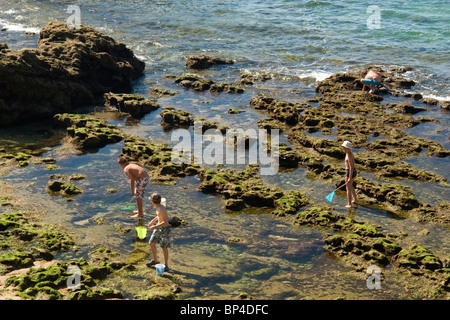 I bambini la pesca a piedi su un punto del litorale di Biarritz (Francia). Enfants pêchant à pied sur le rivage à Biarritz. Foto Stock