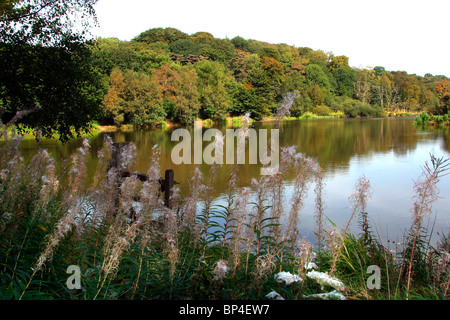 Regno Unito, Inghilterra, Cheshire, Stockport, Disley, Lyme Park, Lago Foto Stock