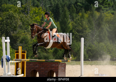 Ponticello femmina soaring oltre un salto con cavalli purosangue a outdoor equitazione sessione di formazione Foto Stock