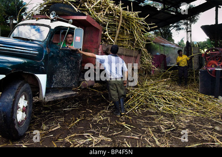 Un vecchio carrello completamente caricato da canne da zucchero raccolte si erge di fronte alla produzione panela fattoria vicino a san agustin, Colombia. Foto Stock