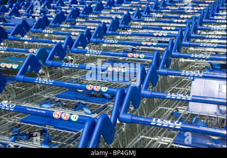 Tesco carrelli di shopping Foto Stock