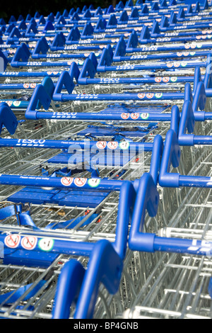 Tesco carrelli di shopping Foto Stock