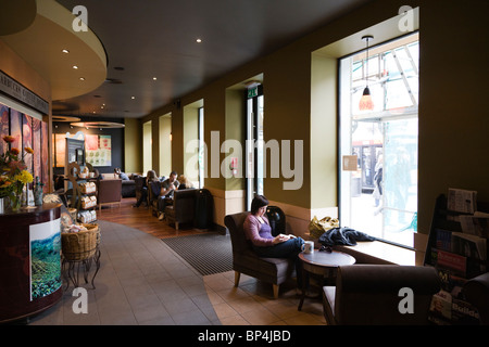 Starbucks su Nowy Swiat, Varsavia Polonia. Foto Stock