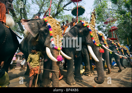 India Kerala Thrissur disegnò fino gli elefanti durante l'Elefante Pooram Festival Foto Stock