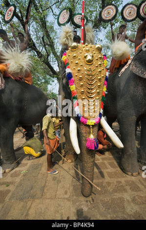 India Kerala Thrissur imbrigliato elephant durante il Pooram Festival di elefante Foto Stock