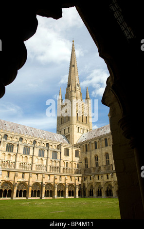 La guglia chiostri Norwich Cathedral Inghilterra Foto Stock