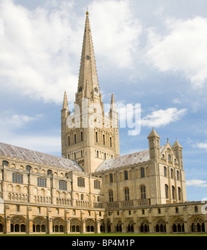 La guglia chiostri Norwich Cathedral Inghilterra Foto Stock