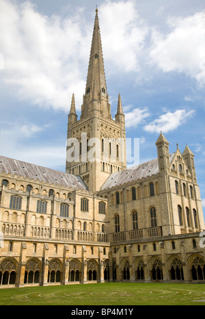 La guglia chiostri Norwich Cathedral Inghilterra Foto Stock