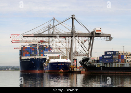 DP World ABP Southampton marine container terminal Southern England Regno Unito Foto Stock