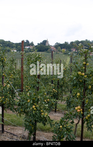 Meleto in Kent, Inghilterra. Foto Stock