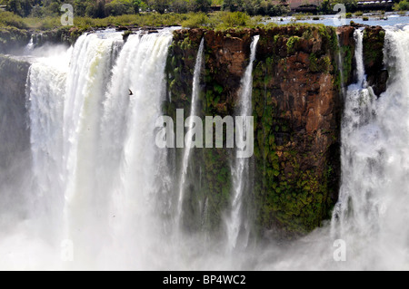 Gola del Diavolo, Iguassu o Iguazu Falls National Park, Argentina Foto Stock