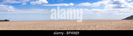 Vista panoramica di raccolti di campo di canna da zucchero con bella blu cielo nuvoloso sfondo. Foto Stock