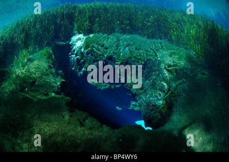 Blue Hole, Ichetucknee parco statale, Florida Foto Stock