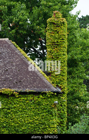 House e il camino coperta di edera a RHS Wisley Gardens, Surrey, Inghilterra Foto Stock
