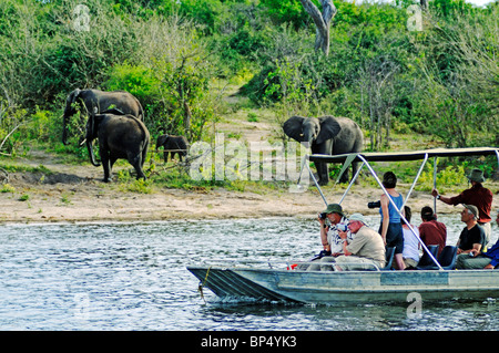 Crociera in barca sul fiume Chobe vicino a Kasane, Chobe National Park, Repubblica di Botswana, Sud Africa Foto Stock