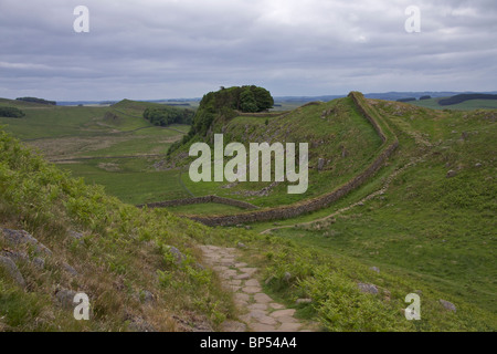 Un tratto della più completa di bit del Vallo di Adriano in direzione ovest passato Milecastle 37 verso Peel balze Foto Stock